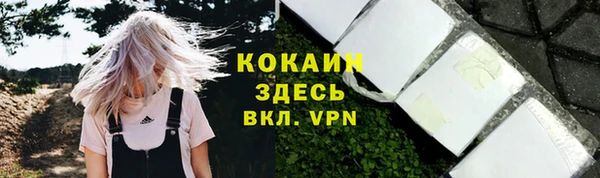прущая мука Няндома