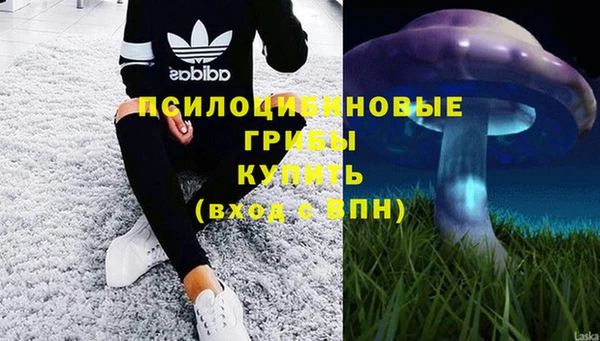 прущая мука Няндома