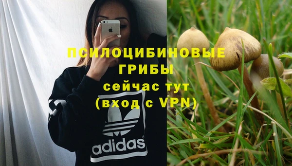 прущая мука Няндома