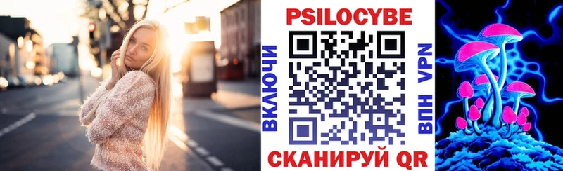 Псилоцибиновые грибы мицелий  Правдинск 